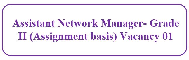 Assistant Network Manager- Grade II (Assignment basis)-Extended