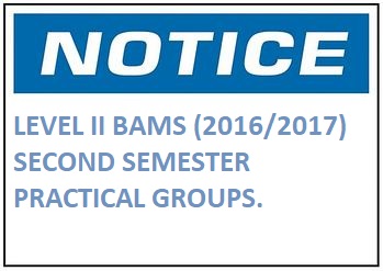 LEVEL II BAMS (2016/2017) SECOND SEMESTER PRACTICAL GROUPS.