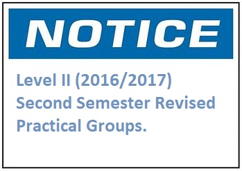 Level II (2016/2017) Second semester Revised Practical Groups.