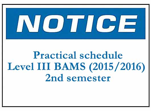 Practical schedule: Level III BAMS (2015/2016) 2nd semester