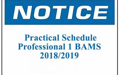 Practical Schedule: Professional 1 BAMS 2018/2019