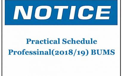 Practical Schedule: Professinal(2018/19) BUMS