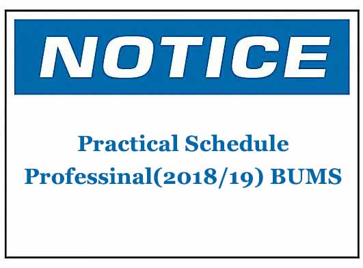 Practical Schedule: Professinal(2018/19) BUMS