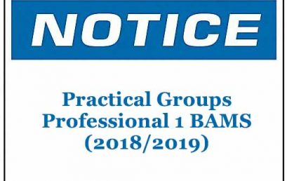 Practical Groups: Professional 1 BAMS (2018/2019)