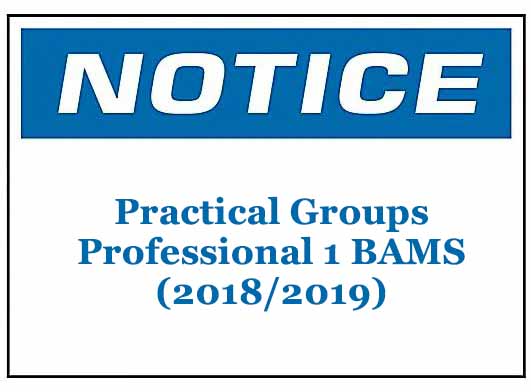 Practical Groups: Professional 1 BAMS (2018/2019)