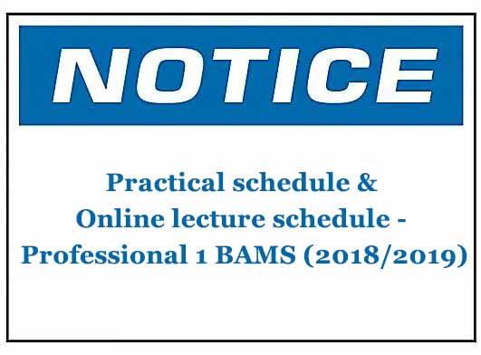 Practical schedule & Online lecture schedule – Professional 1 BAMS (2018/2019)