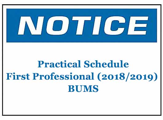 Practical Schedule- First Professional (2018/2019) BUMS