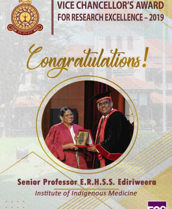 Vice Chancellor’s Award for Research Excellence 2019