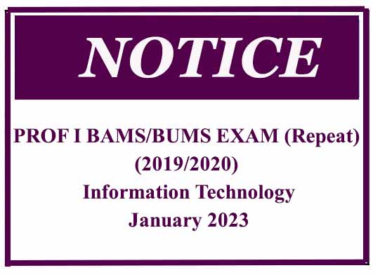 PROF I BAMS/BUMS EXAM (Repeat) (2019/2020) Information Technology– January 2023