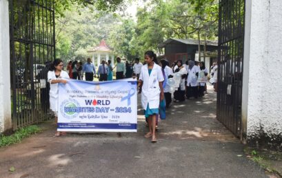 Commemoration of World Diabetes Day 2024 – Diabetes and Wellbeing “Breaking Barriers, Bridging Gaps”